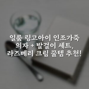일룸 링고아이 인조가죽 의자 + 발걸이 세트, 라즈베리 크림 꿀템 추천!