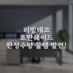 “리빙데코 로만쉐이드 한정수량 꿀템 발견!”